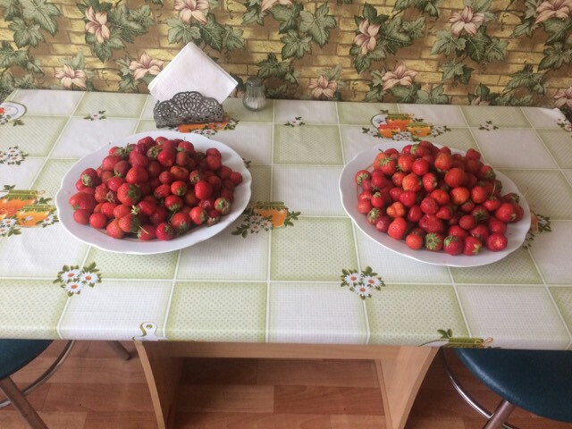 фестиваль клубники 2.jpg фестиваль клубники 2.jpg